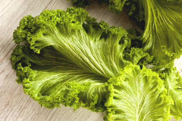10 Types of Cabbage-Rich Cabbage Source