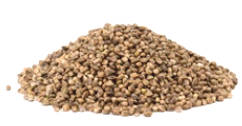 6 evidence of health benefits of hemp seeds (Hemp ...