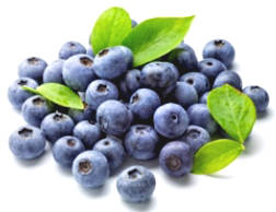 Blueberry and 10 health benefits have been proven ...