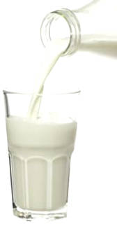 Calcium And Osteoporosis - Milk Products Are Really Good For ...