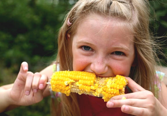 Corn: Ingredients Nutrition and Health Benefits