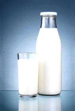 Creamy Whole Milk Is Better Than Fatty Milk And Fatty Milk ...