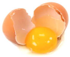 Differences Between Natural Chicken Eggs - Omega-3 Eggs - ...