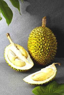 Durian - A Heavy But Extremely Rich Nutritious Fruit