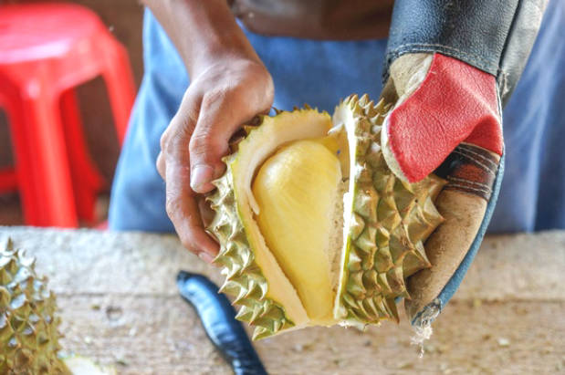 Durian - A Heavy But Extremely Rich Nutritious Fruit
