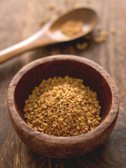Fenugreek - Herbs Giving Indian Health Benefits ...