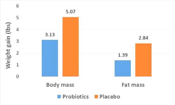 How does probiotics help you lose belly fat and lose weight?