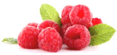 Is raspberry ketones really effective?