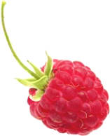 Is raspberry ketones really effective?