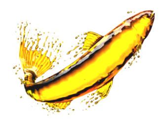 13 benefits of using fish oil