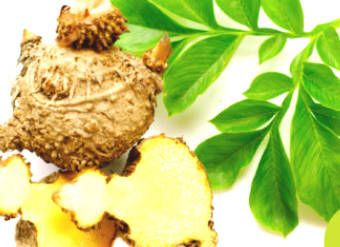 Glucomannan - A Functional Food Supports Effective Weight Loss