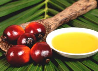 Is Palm Oil Good For You?
