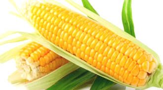 Two Ways Corn Can "Kill" You