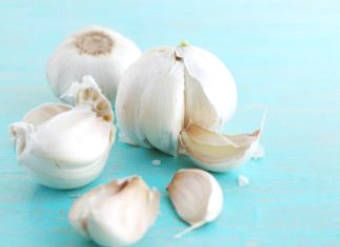 11 Benefits of Great Garlic Health