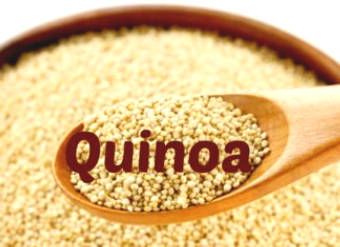 Quinoa County & 11 Health Benefits Proven Science