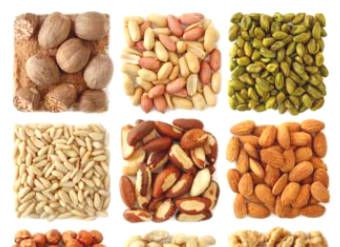 Top 20 Rich Protein Foods You Should Eat