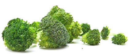 Value of Nutrition and Benefits of Miraculous Health of Broccoli ...
